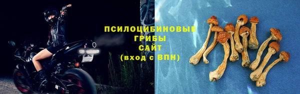 марки nbome Гусь-Хрустальный
