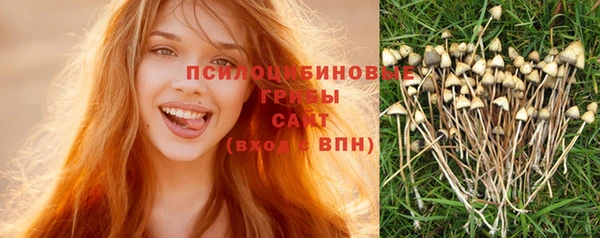 экстази Гусев