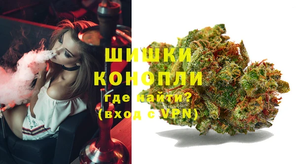 spice Гусиноозёрск