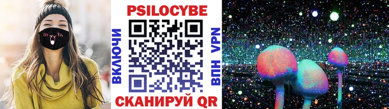 закладки  Владикавказ  Псилоцибиновые грибы GOLDEN TEACHER 